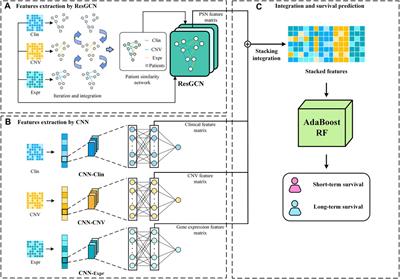 MSFN: a multi-omics stacked fusion network for breast cancer survival prediction